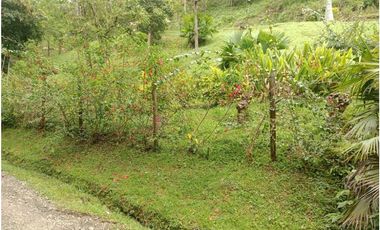 Lote en San Jerónimo, Antioquia en venta