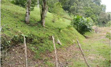 Lote en San Jerónimo, Antioquia en venta