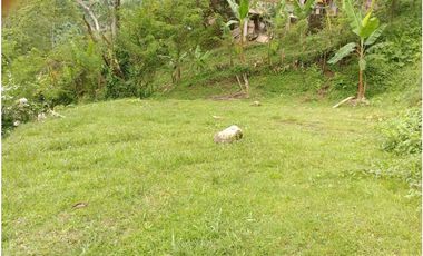 Lote en San Jerónimo, Antioquia en venta