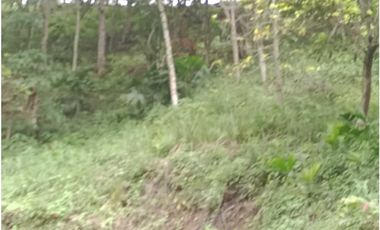 Lote en San Jerónimo, Antioquia en venta