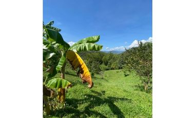 Vendo espectacular finca