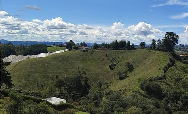 finca en venta Marinilla Alto del Mercado 29.000 m2