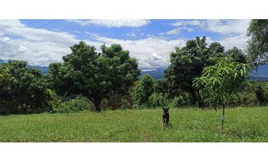 Lote Plano En La Mesa Cundi Con Hermosa Vista Panorámica