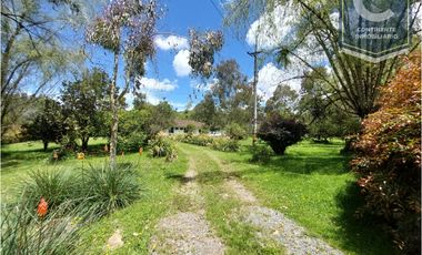 Venta Finca San Francisco San Félix