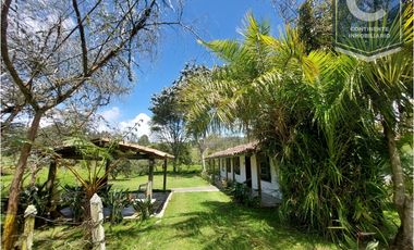Venta Finca San Francisco San Félix