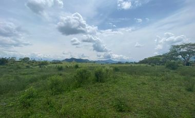 Lote en venta en Cerritos - Cartago, Pereira