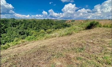 Lote en venta en Cerritos - Cartago, Pereira