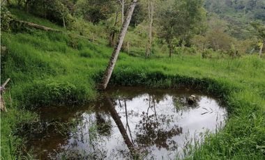 FINCA EN VENTA