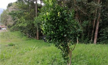 FINCA EN VENTA