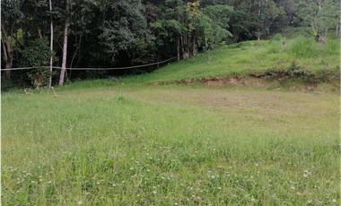 FINCA EN VENTA