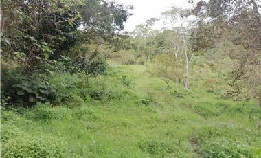 FINCA EN VENTA