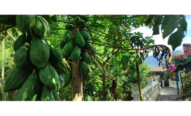 Venta Finca Girardota Antioquia