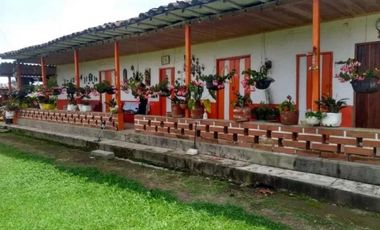 VENTA FINCA 5 ha Aguacate Abejorral Antioquia