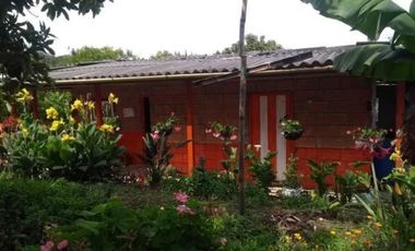 VENTA FINCA 5 ha Aguacate Abejorral Antioquia