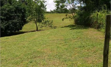 VENTA  DE LOTE EN LAS  UVAS VALLE LOS LIRIOS EN SAN CARLOS