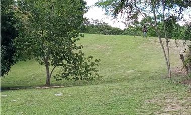 VENTA  DE LOTE EN LAS  UVAS VALLE LOS LIRIOS EN SAN CARLOS
