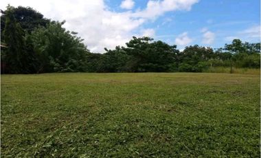 VENTA  DE LOTE EN LAS  UVAS VALLE LOS LIRIOS EN SAN CARLOS