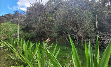 VENTA FINCA EN SAN VICENTE FERRER, ANTIOQUIA