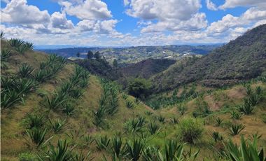 VENTA FINCA EN SAN VICENTE FERRER, ANTIOQUIA