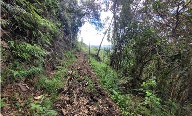 VENTA FINCA EN SAN VICENTE FERRER, ANTIOQUIA