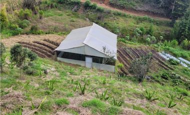 VENTA FINCA EN SAN VICENTE FERRER, ANTIOQUIA