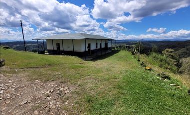 VENTA FINCA EN SAN VICENTE FERRER, ANTIOQUIA