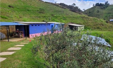 VENTA FINCA EN SAN VICENTE FERRER, ANTIOQUIA