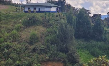 VENTA FINCA EN SAN VICENTE FERRER, ANTIOQUIA