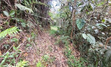 VENTA FINCA EN SAN VICENTE FERRER, ANTIOQUIA