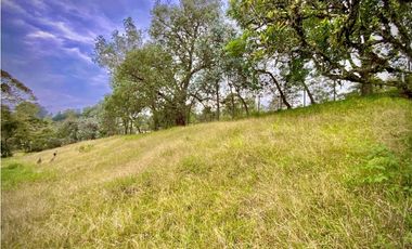 Venta Lote 100% Parcelacion Sector Fizebad El Retiro