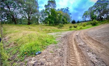 Venta Lote 100% Parcelacion Sector Fizebad El Retiro