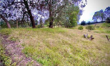 Venta Lote 100% Parcelacion Sector Fizebad El Retiro