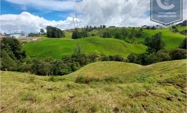 Venta Lote Ovejas Bello