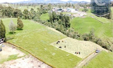 Venta Lote Ovejas Bello