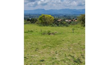 se vende finca en quimbaya
