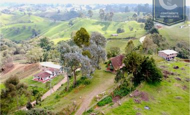 Venta Casa Finca Pantanillo San Pedro de los Milagros
