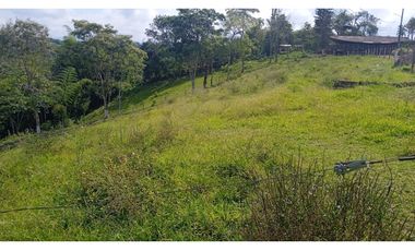 SE VENDEN LOTES EN MORELIA