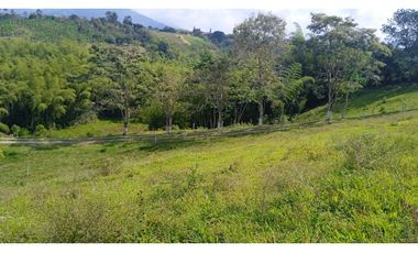 SE VENDEN LOTES EN MORELIA