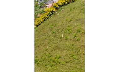 SE VENDEN LOTES EN MORELIA