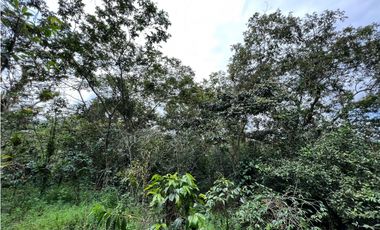 Se vende Finca con lote de terreno en Frailes