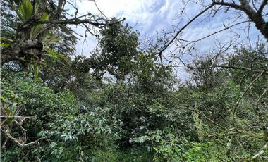 Se vende Finca con lote de terreno en Frailes