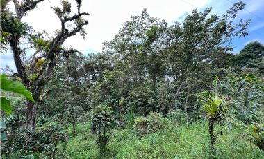 Se vende Finca con lote de terreno en Frailes