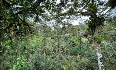 Se vende Finca con lote de terreno en Frailes