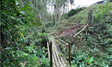 Se vende Finca con lote de terreno en Frailes
