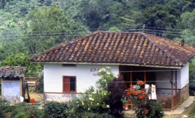 Se vende finca ganadera de 14 cuadras en Filandia Qundio