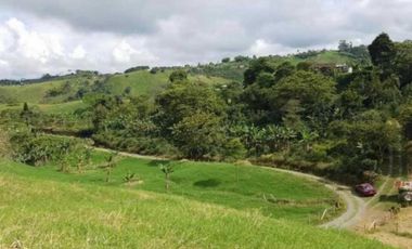 Se vende finca ganadera de 14 cuadras en Filandia Qundio
