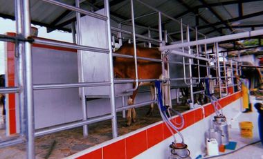 Se vende finca ganadera de 14 cuadras en Filandia Qundio
