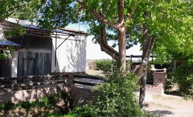 En Venta hermosa Finca de 3 Hectáreras con Casa en Cañada Seca, San Rafael, Mza