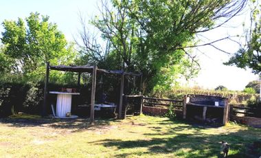 En Venta hermosa Finca de 3 Hectáreras con Casa en Cañada Seca, San Rafael, Mza
