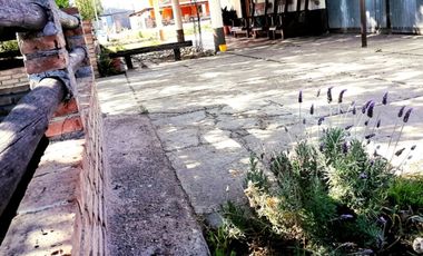 En Venta hermosa Finca de 3 Hectáreras con Casa en Cañada Seca, San Rafael, Mza